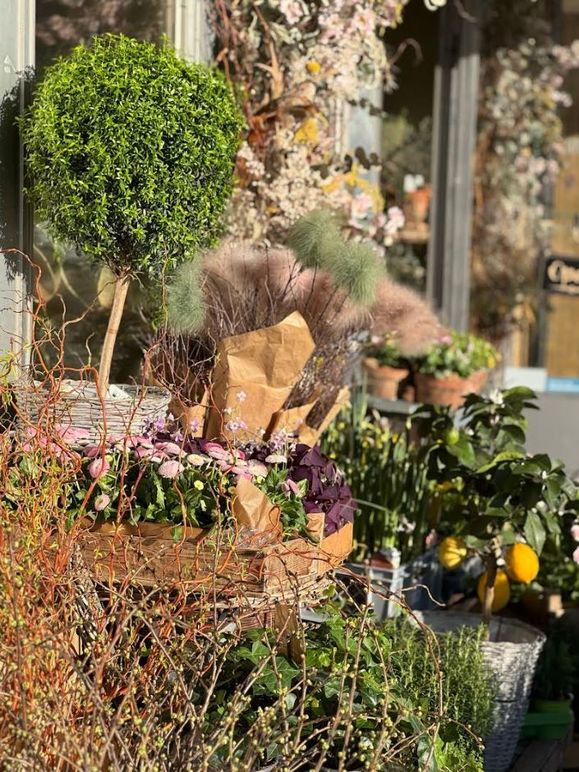 Images Camillas Blommor i Helsingborg - Blomsterhandel Helsingborg