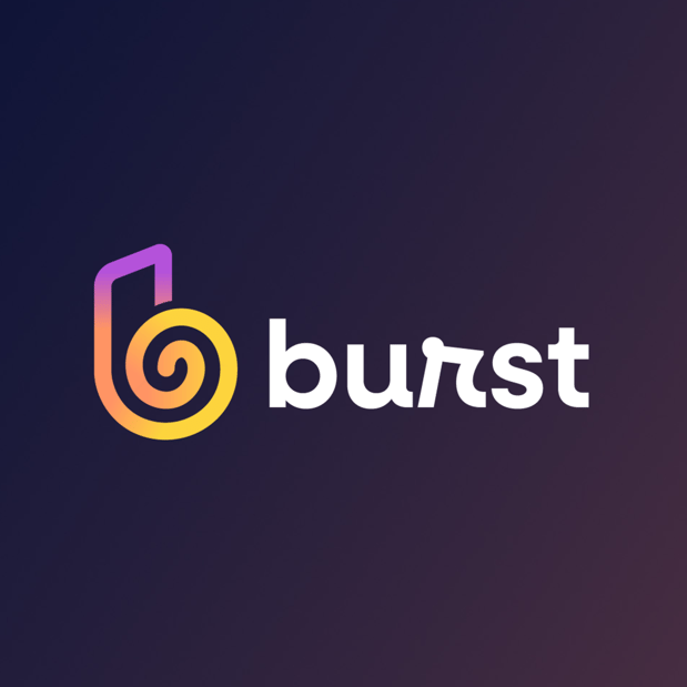 Burst Logo