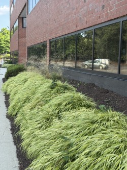 Images LifeStance Therapists & Psychiatrists Woburn