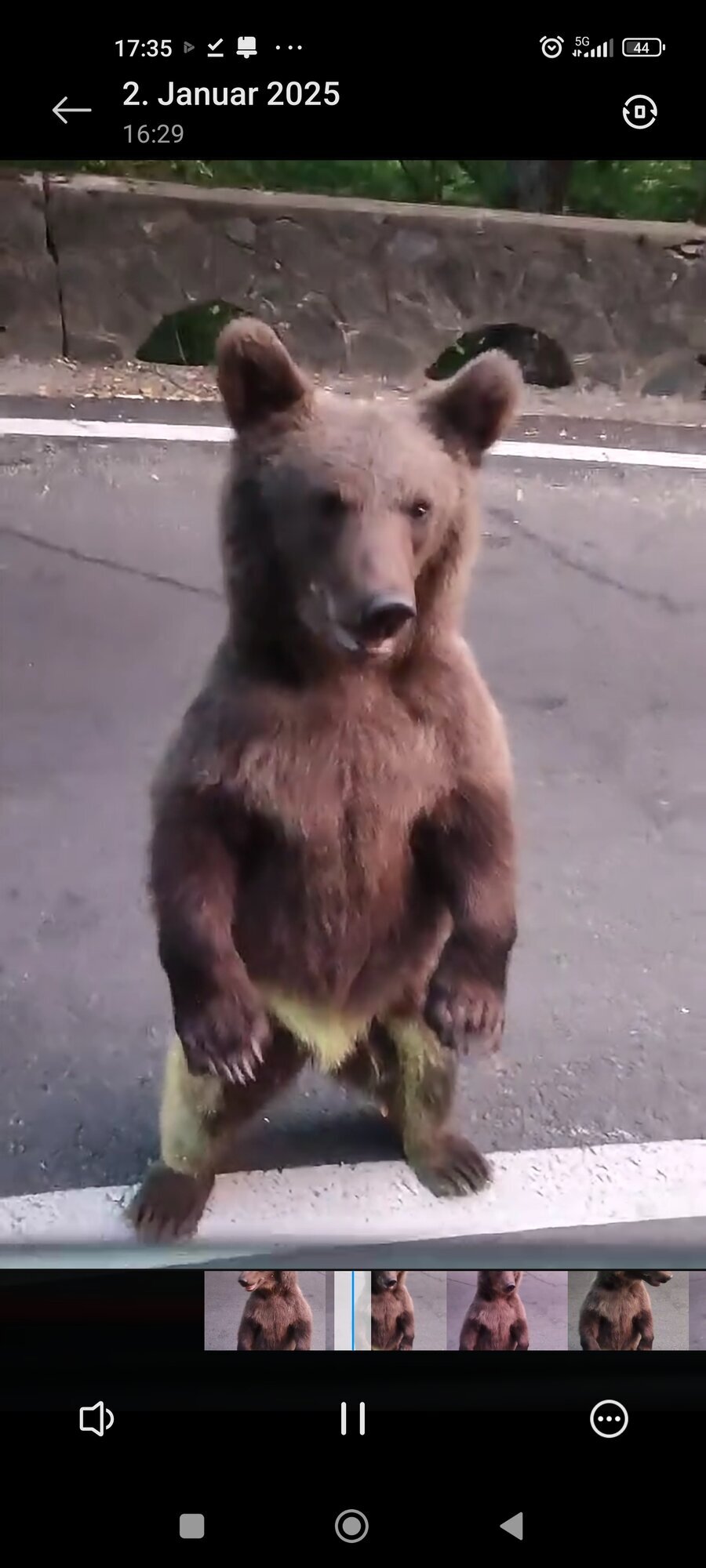 Fratello Tours in Nürnberg