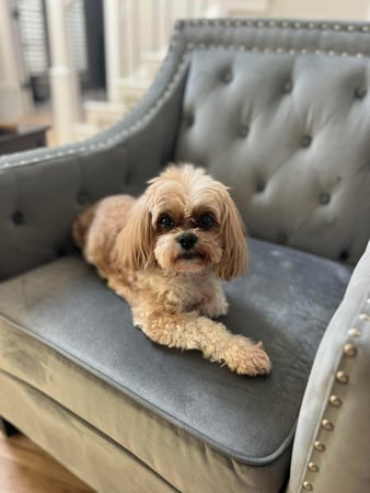 Images James Parker - State Farm Insurance Agent