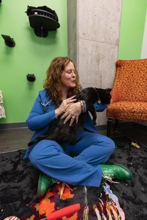 Images PetVet365 Pet Hospital Denver / University
