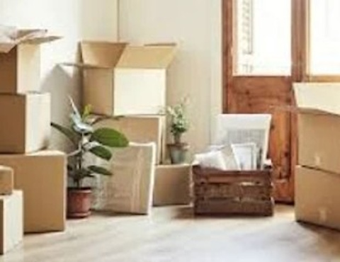 RP Removals 5