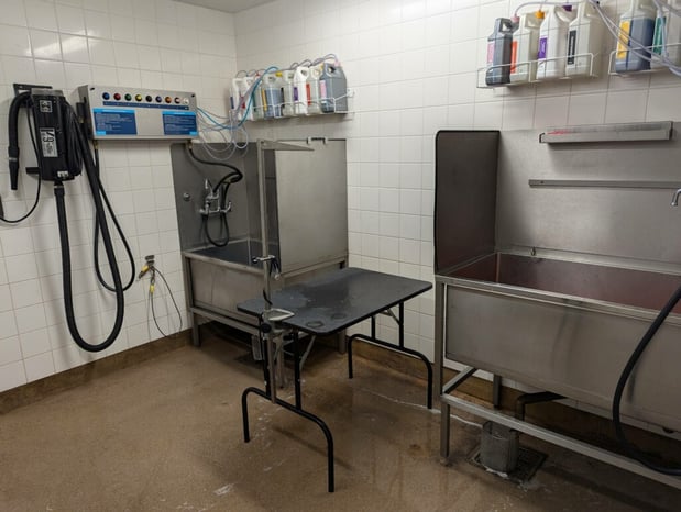 Images Petco Grooming