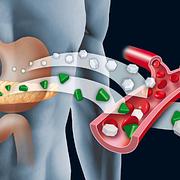 Images Doutor José Pires