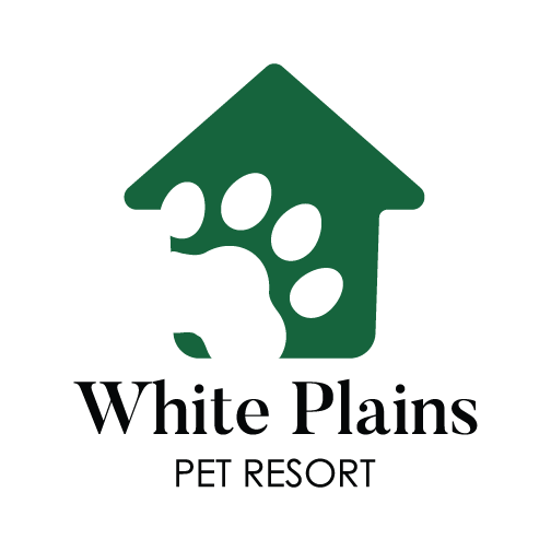 White Plains Pet Resort