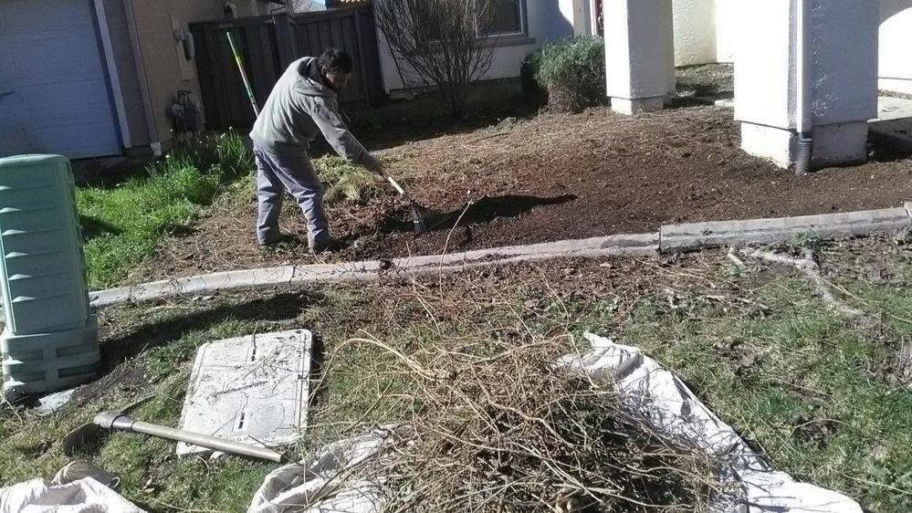 Let 5 Star Gardening tackle the tough job of yard clean up for you. Whether it's after a storm or just regular maintenance, our team removes debris, clears out overgrowth, and tidies up your yard to create a clean and inviting outdoor environment.