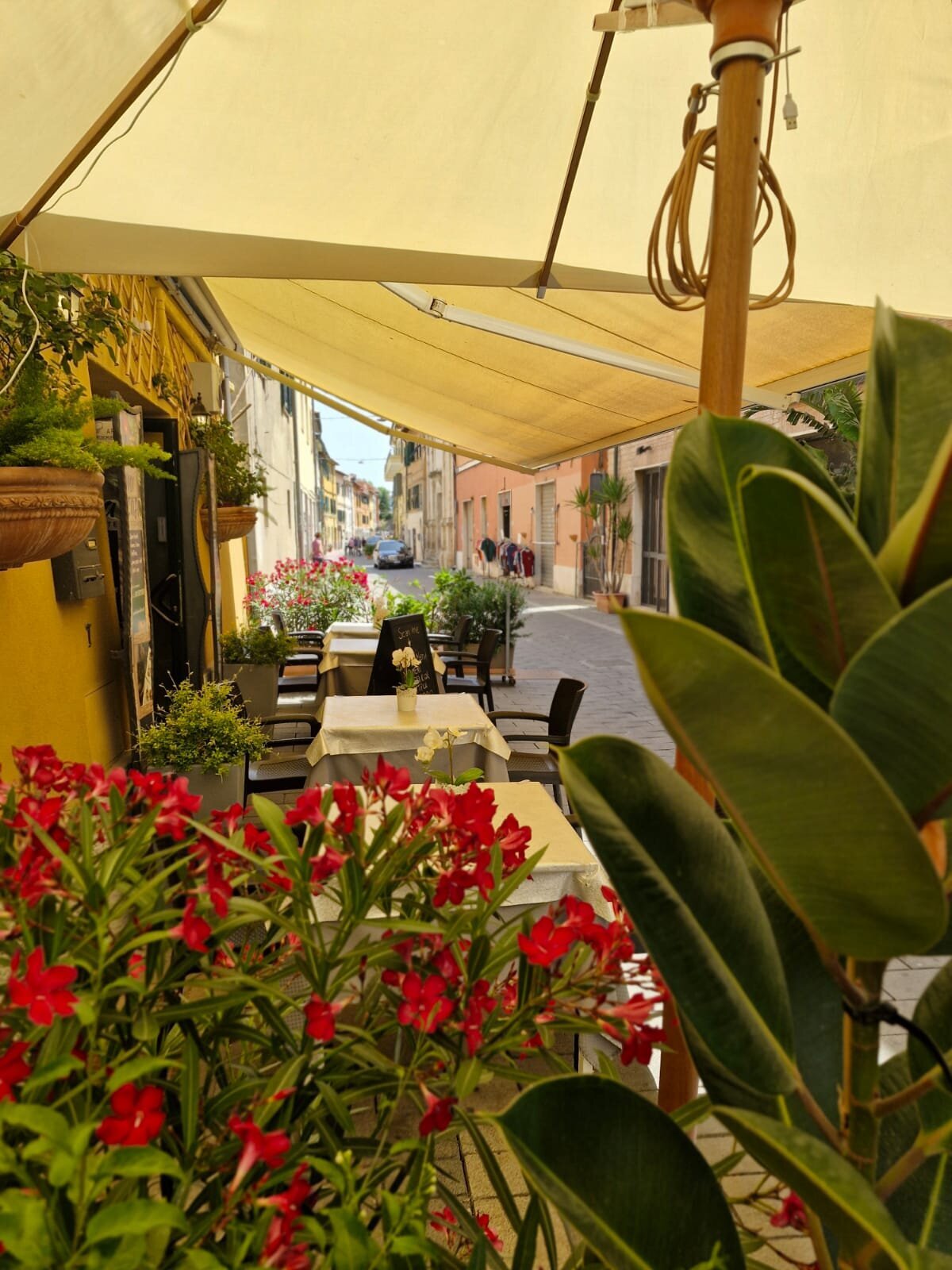 Ristorante La Mi Casa