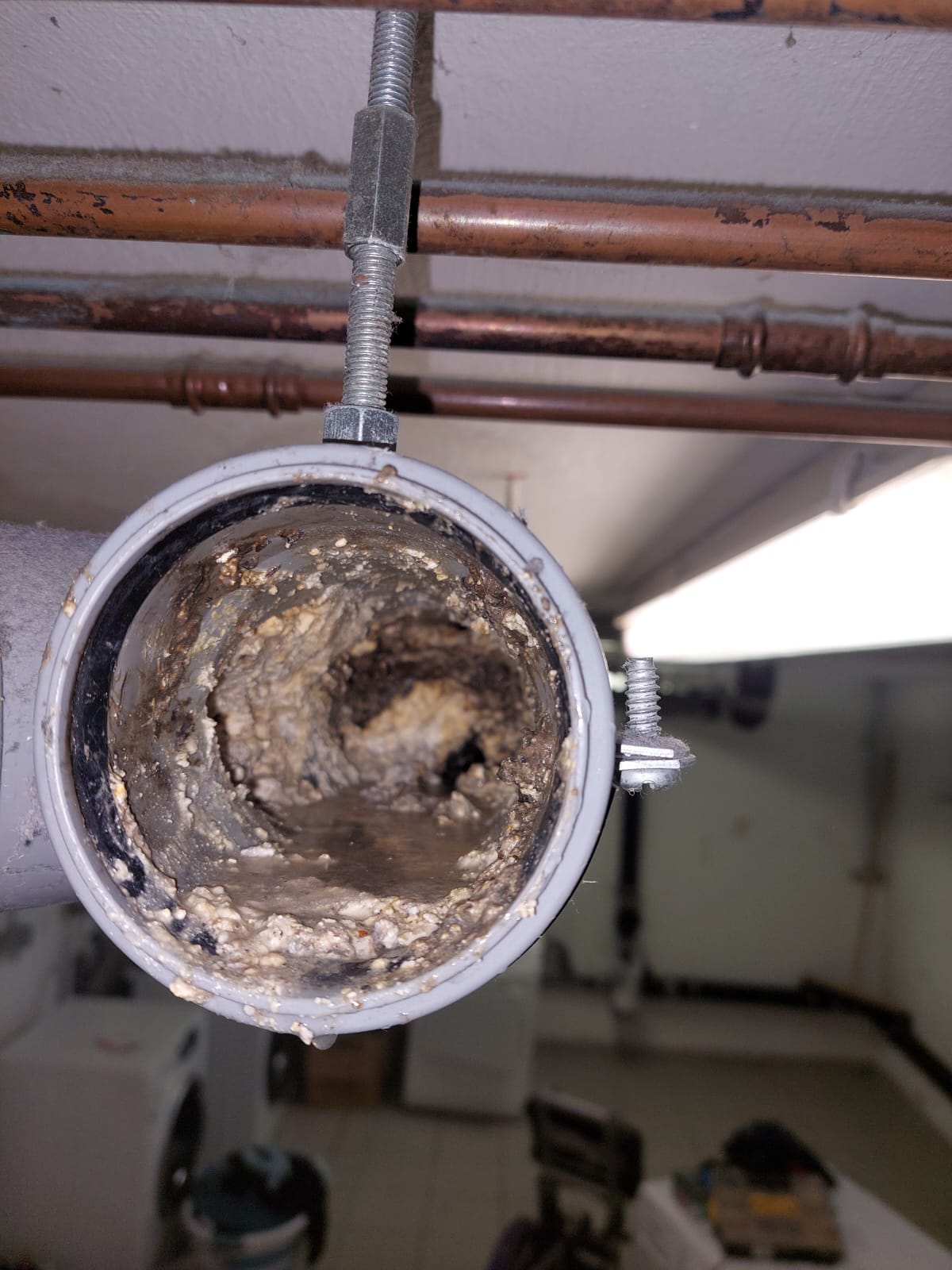 Bilder Belting Kanalreinigung GmbH