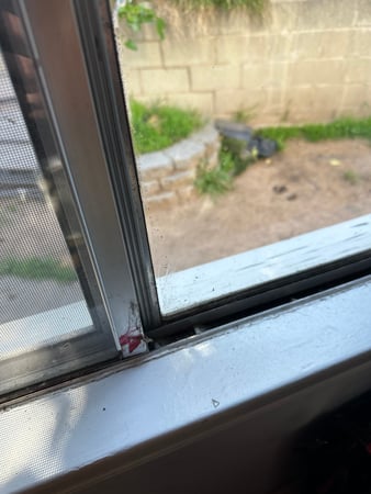 Images 24H Mold Inspection of Santa Clarita