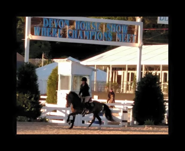 Images Pineridge Equestrian Center, LLC