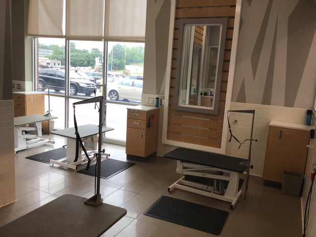 Images Petco Grooming
