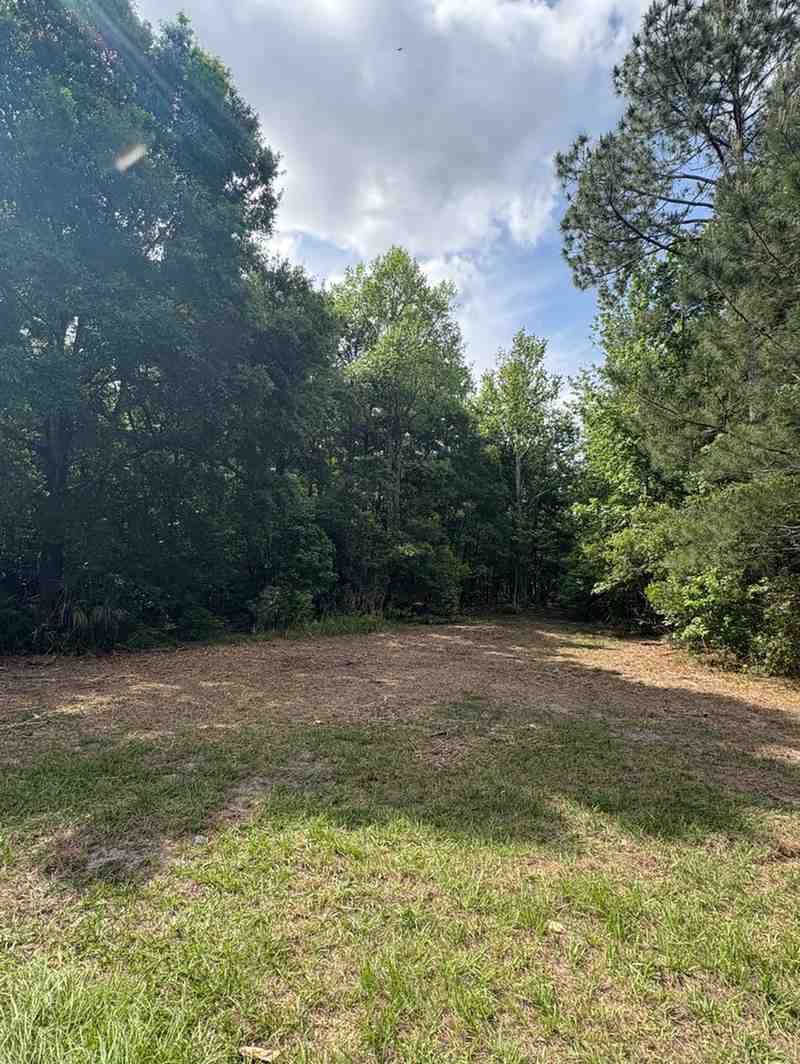 Freshly cleared section of land bordering a wooded area, reducing overgrowth and creating a cleaner, safer, and more functional property while preserving surrounding natural vegetation.
