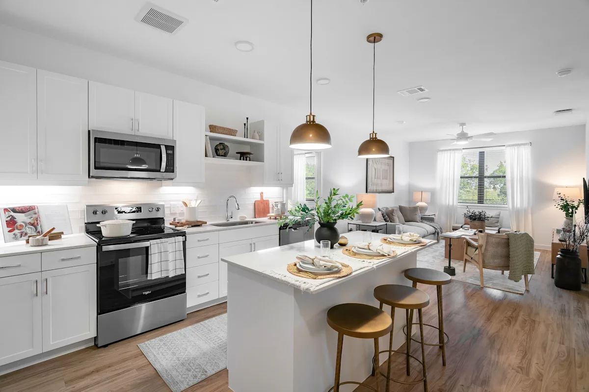 Kitchen and Living Room Area