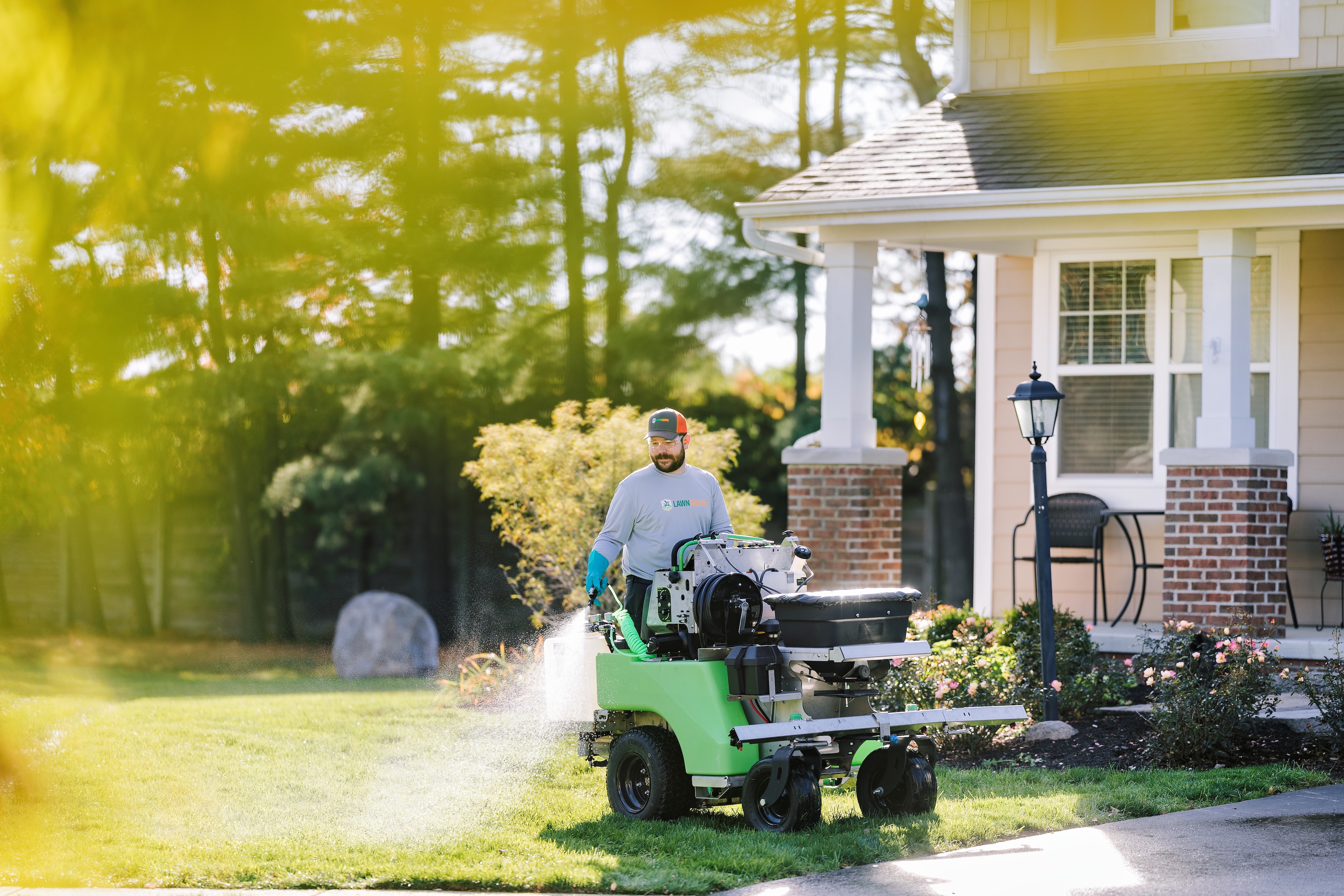 Lawn Insect Control