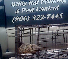 Images Willis Pest Control LLC