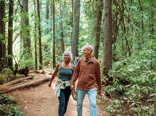 An elderly couple walking in the woods.