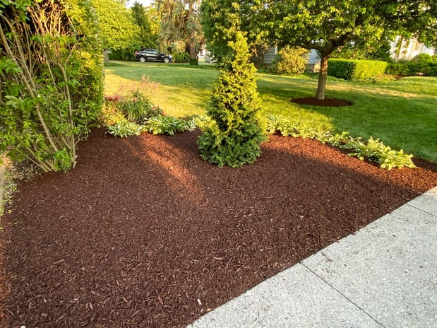 Images Superior Service Lawn Care