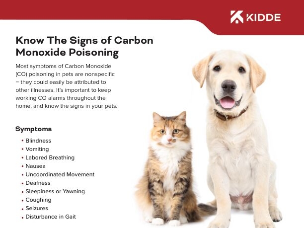 Carbon Monoxide Safety for Pets