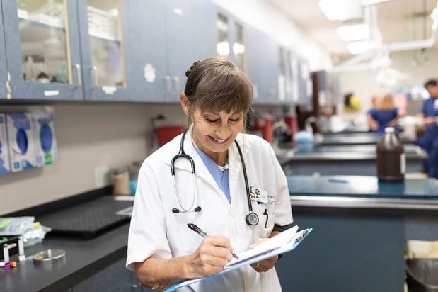 Images VCA Angel Animal Hospital