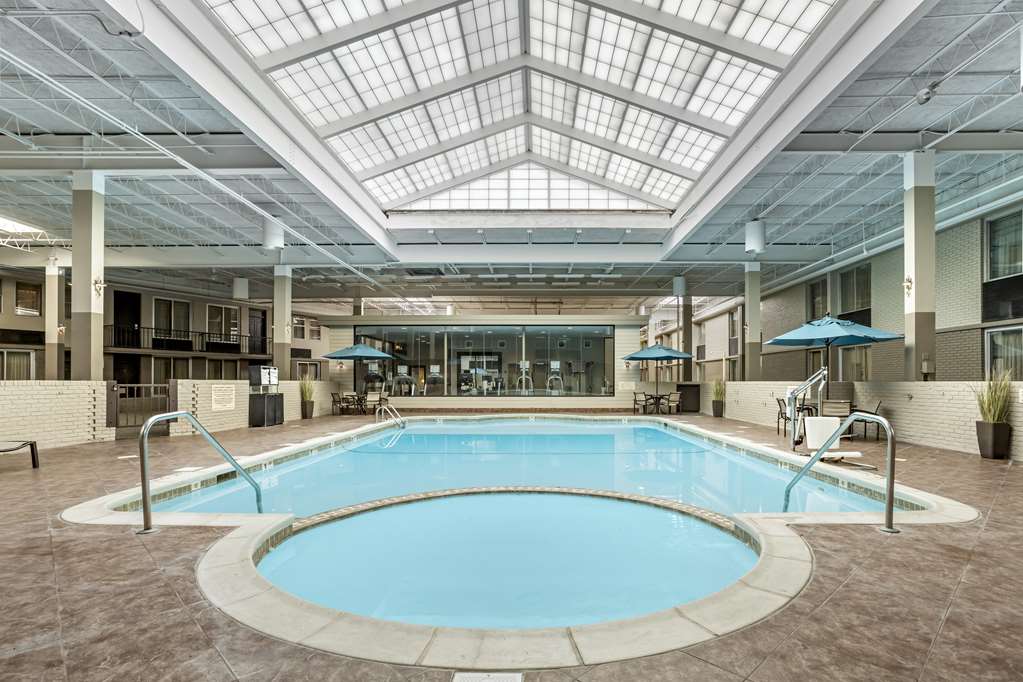 Pool & kiddie wading pool