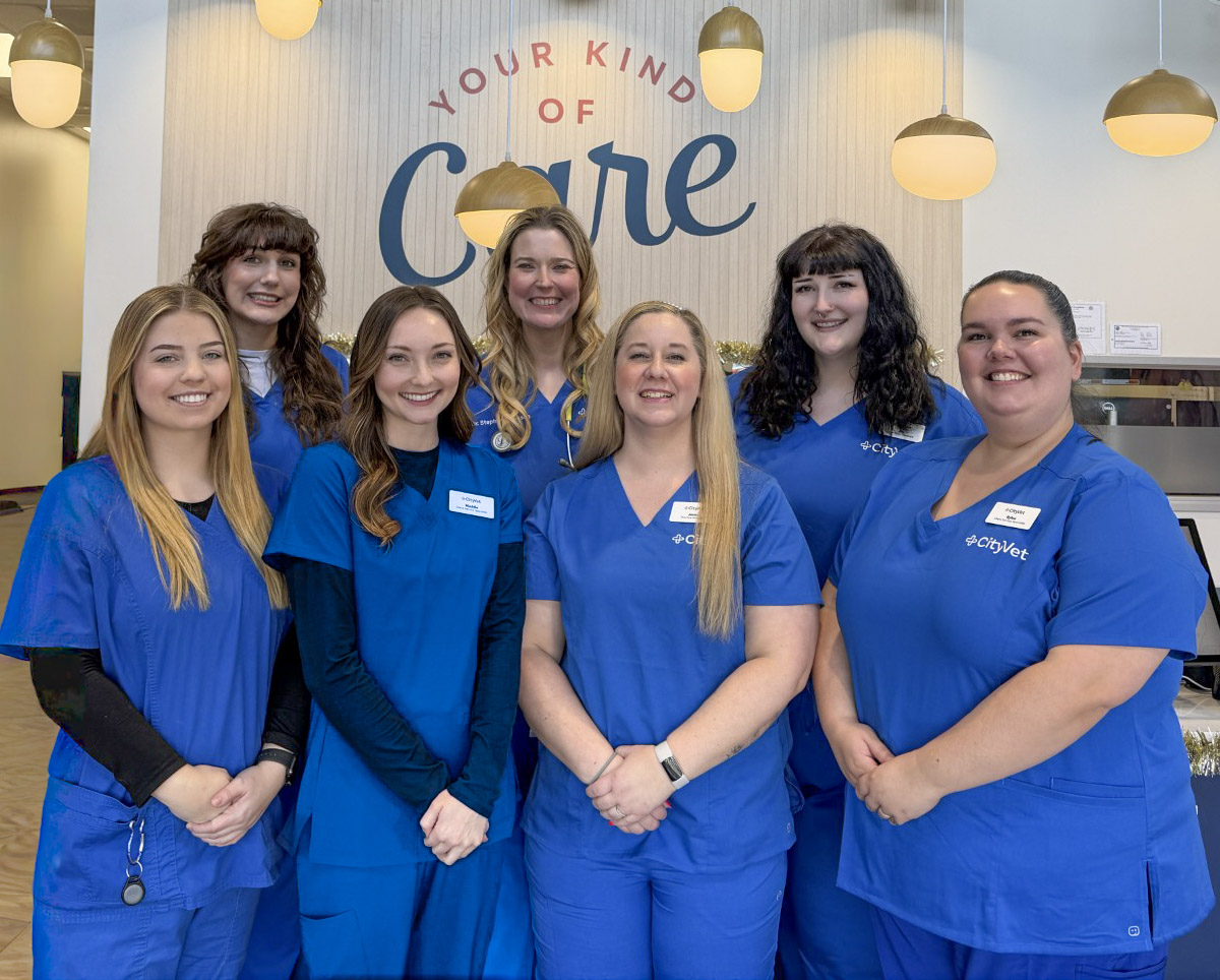 Your CityVet | Carmel Team!