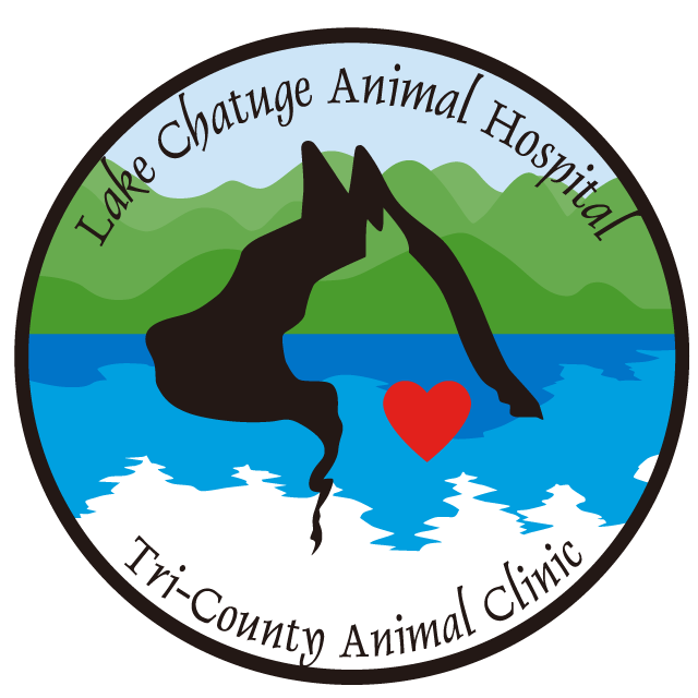 Lake Chatuge Animal Hospital
