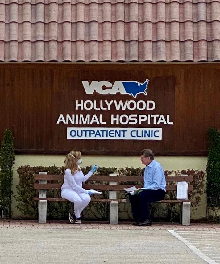 VCA Hollywood Animal Hospital Hollywood (754)200-0624