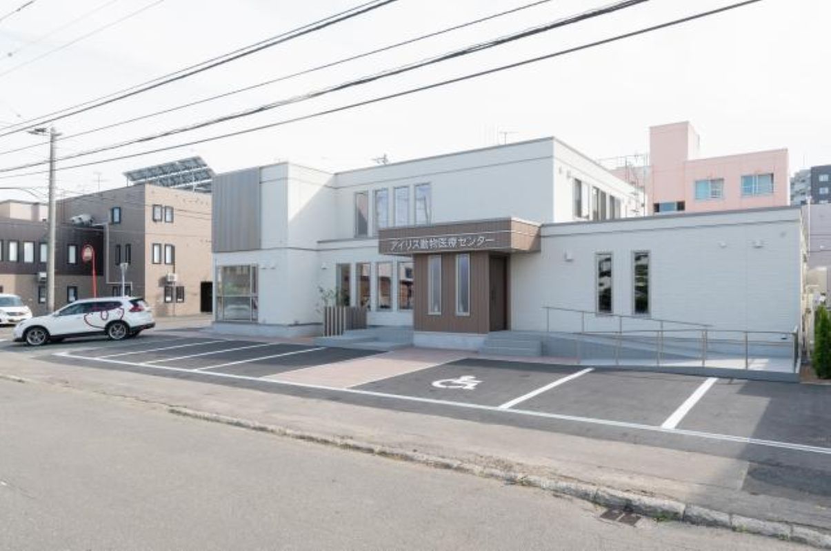 Images アイリス動物医療センター