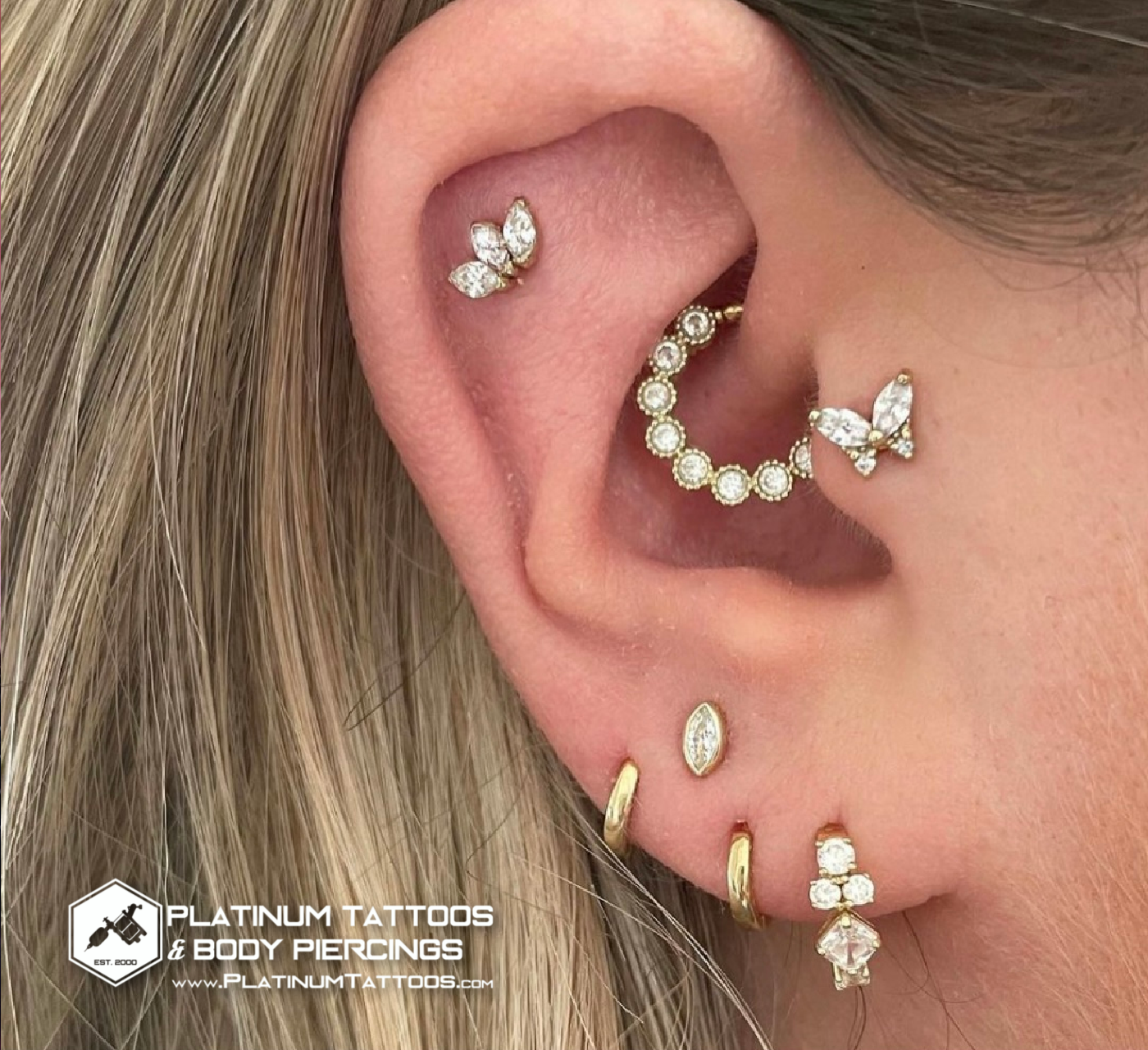 Curated Ear Piercings @Platinum Tattoos & Piercings San Antonio, Tx