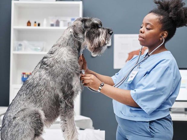 Images Banfield Pet Hospital