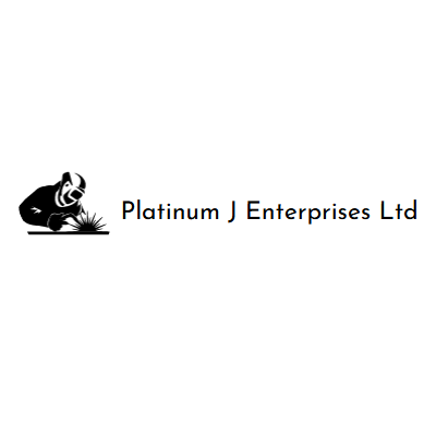 Platinum J Enterprises Ltd