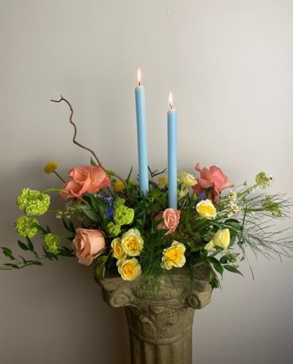 Antoinette Thérèse Florist Mallow 11