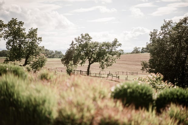 Images On Sunny Slope Farm