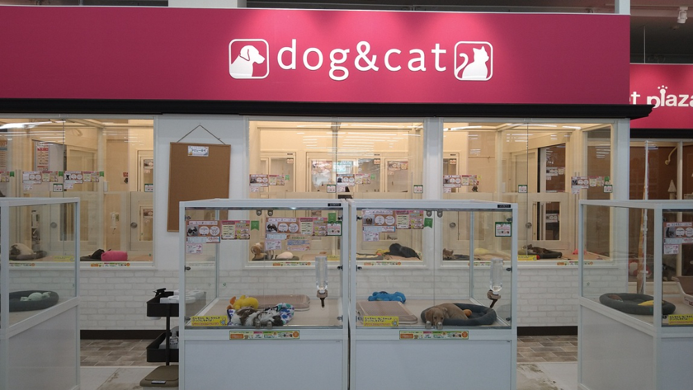 Images ペットプラザ本羽田萩中店