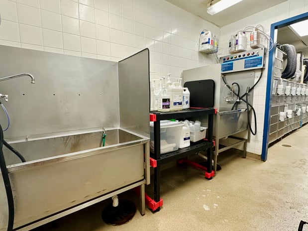 Images Petco Grooming