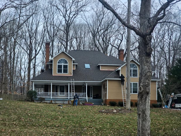 Images D and B Services