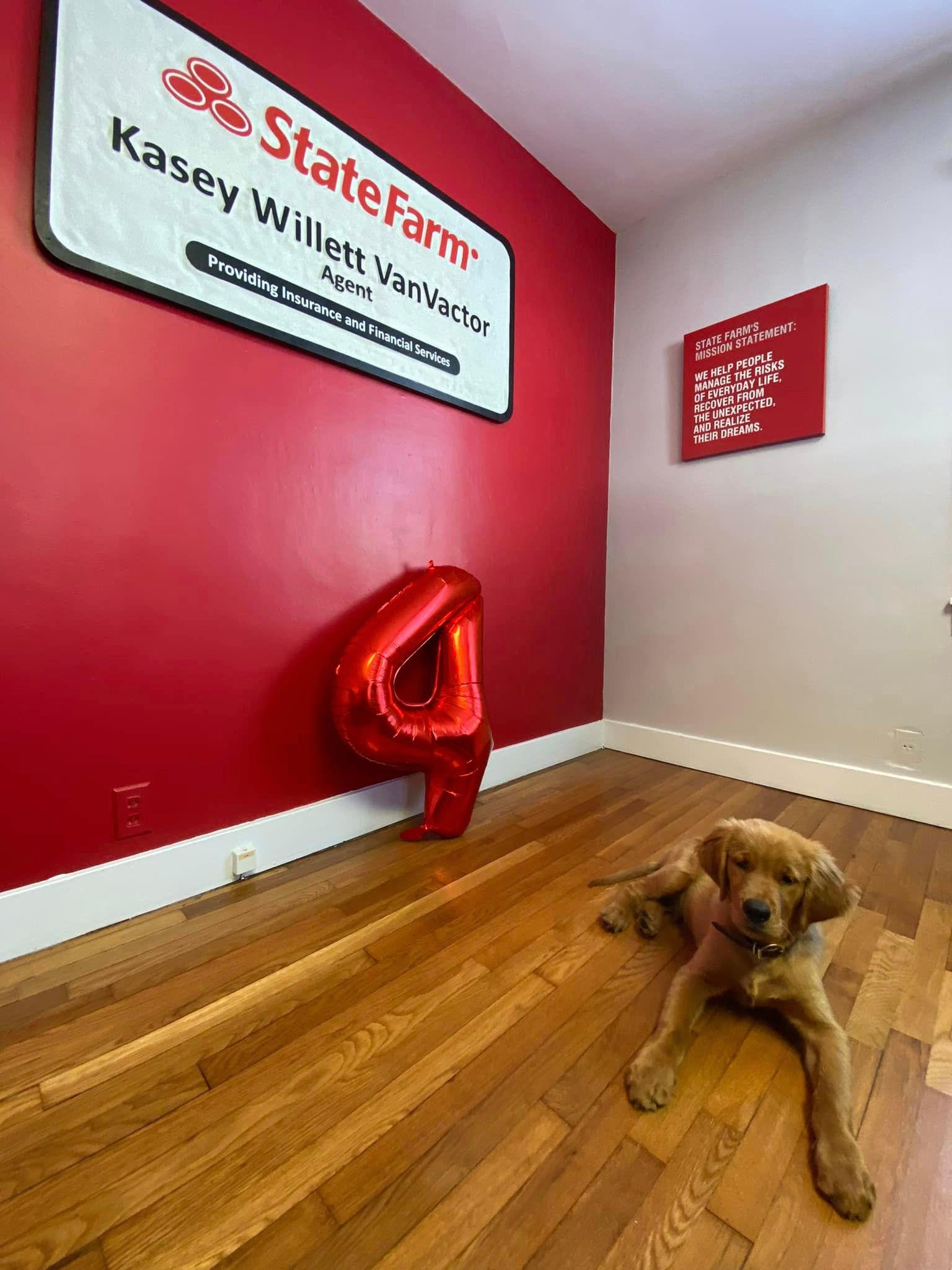Interior of our agency with our team mascot!
