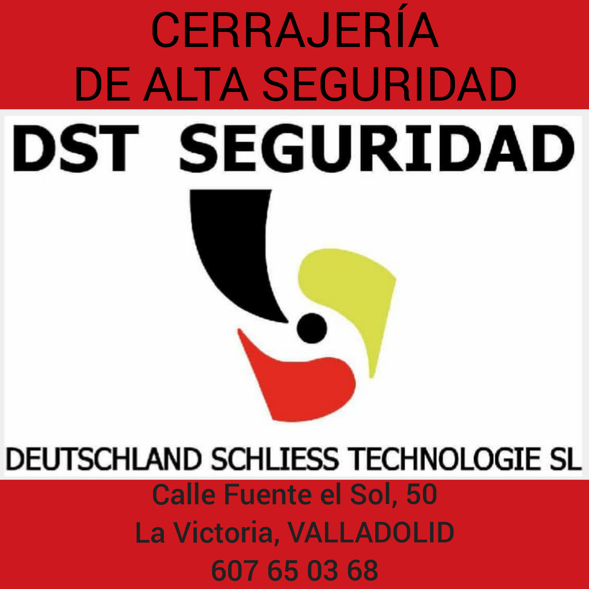 DST Seguridad Logo