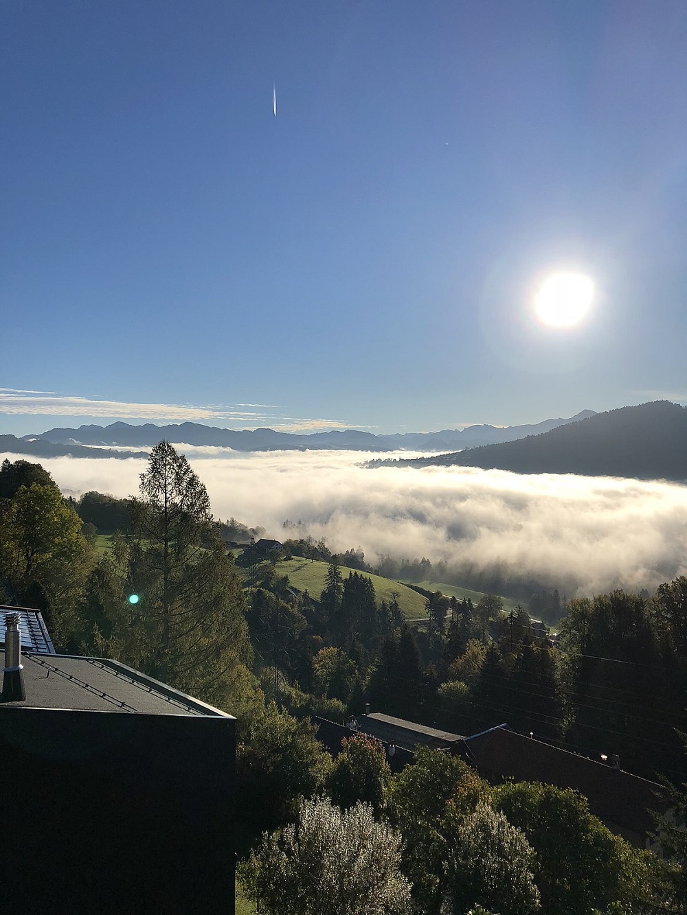 Gasthof Adler, Fluh 11 in Bregenz