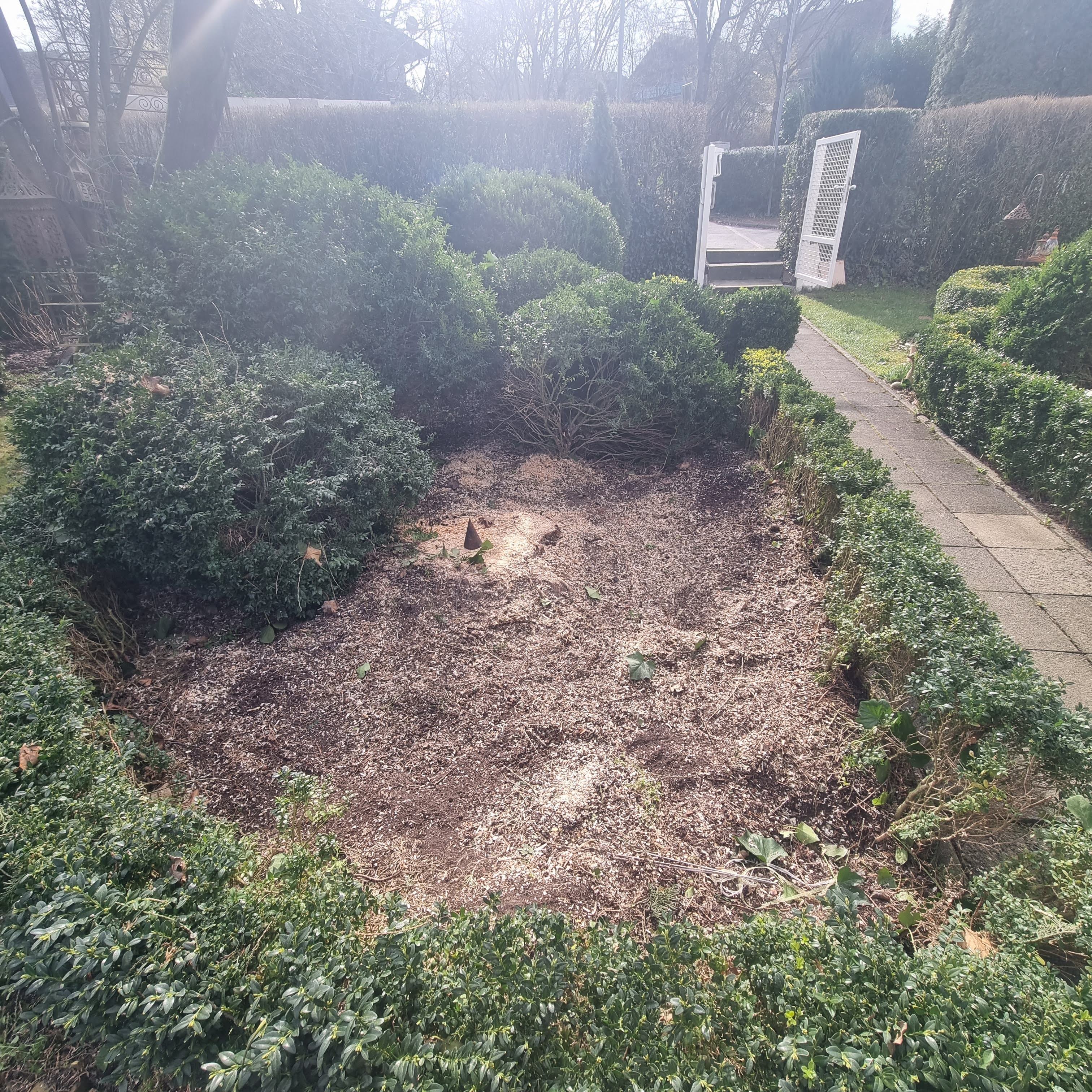 Baum- & Gartenpflege Loose in Melsbach