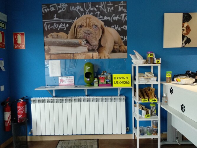 Images Clínica Veterinaria Argos Burlada