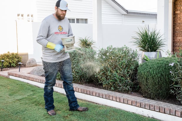 Images Crandell Pest Control