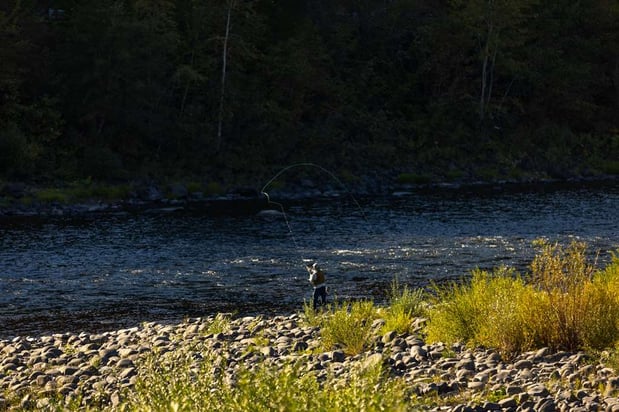 Images Best Western Lodge at River's Edge