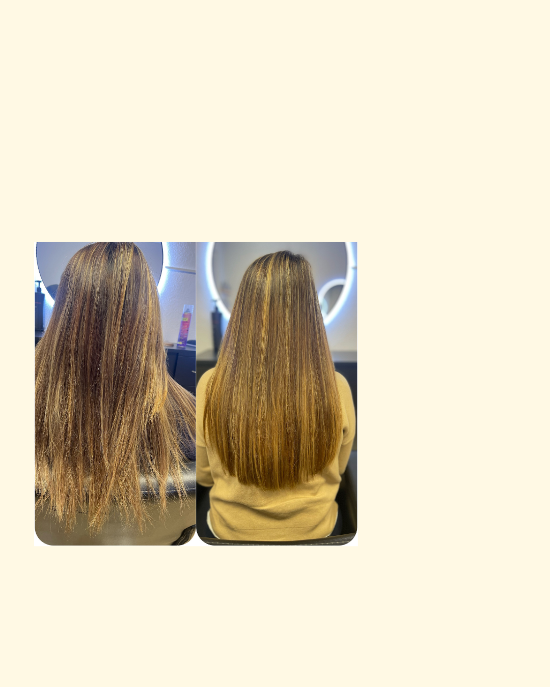 Bilder DS Extensions