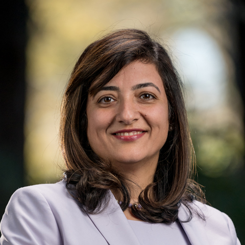 Mahazarin B. Ginwalla