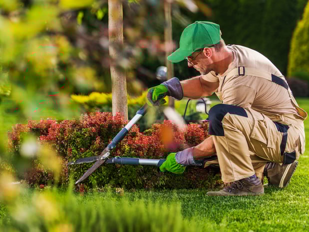 Images A Peace of Mind Landscape