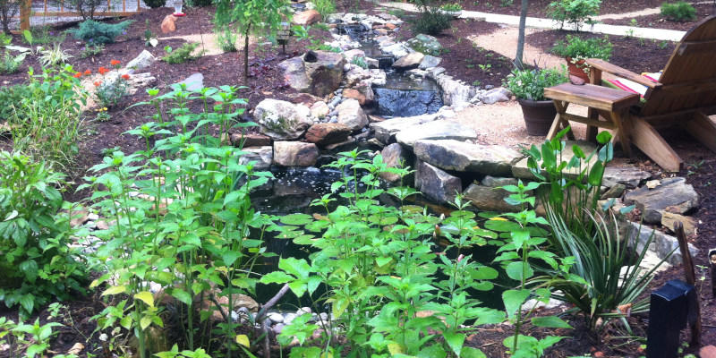 Landscape water features are a feast for the eyes, and the sound of water cascading from a fountain or waterfall can be quite relaxing.