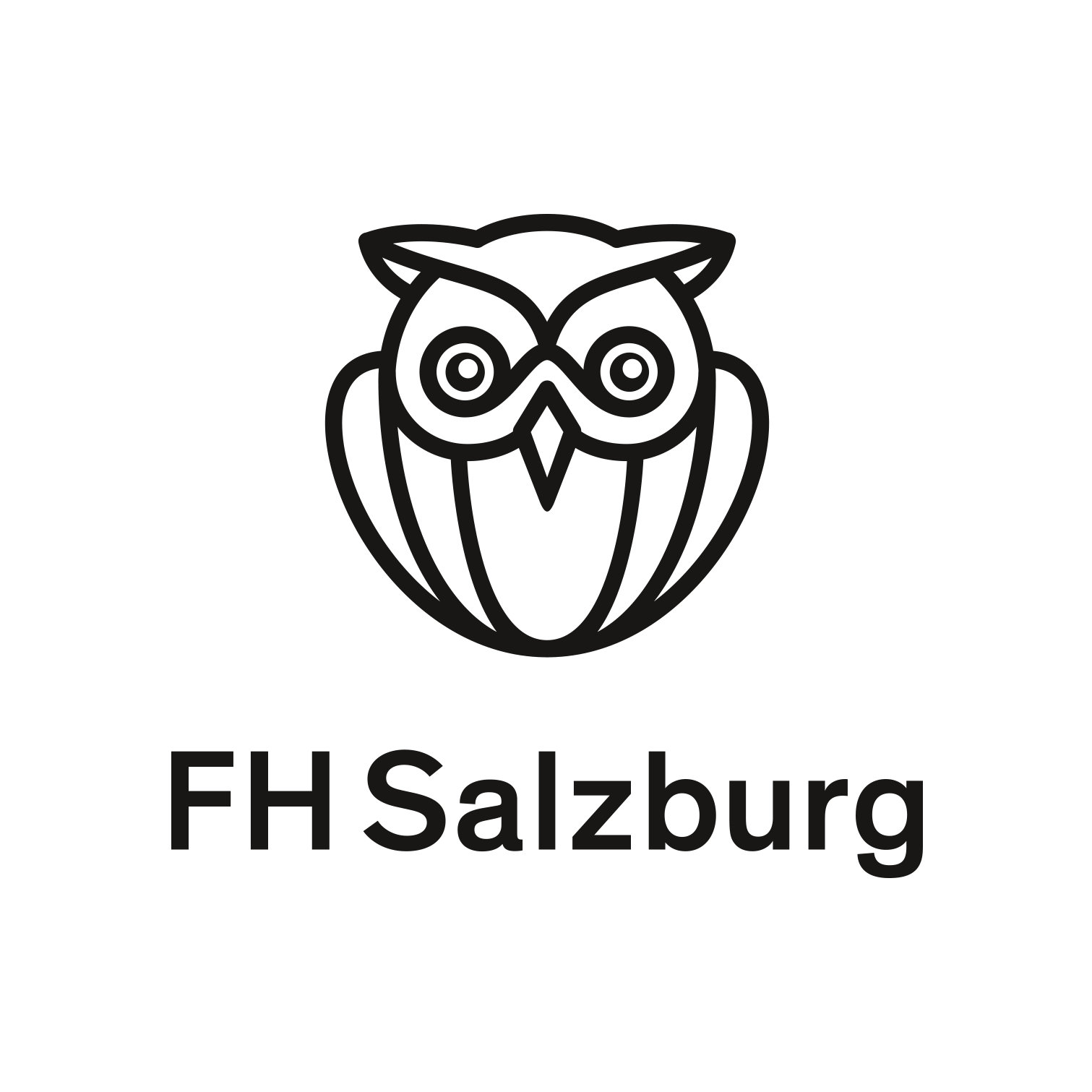 Fachhochschule Salzburg GmbH Logo
