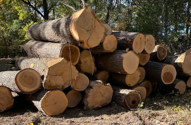 Images Thornton Logging